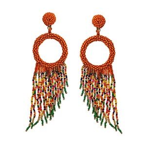 Seed beaded tassel earrings
